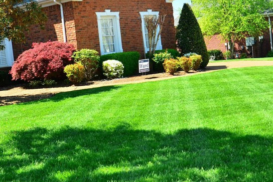 Landscape Design
